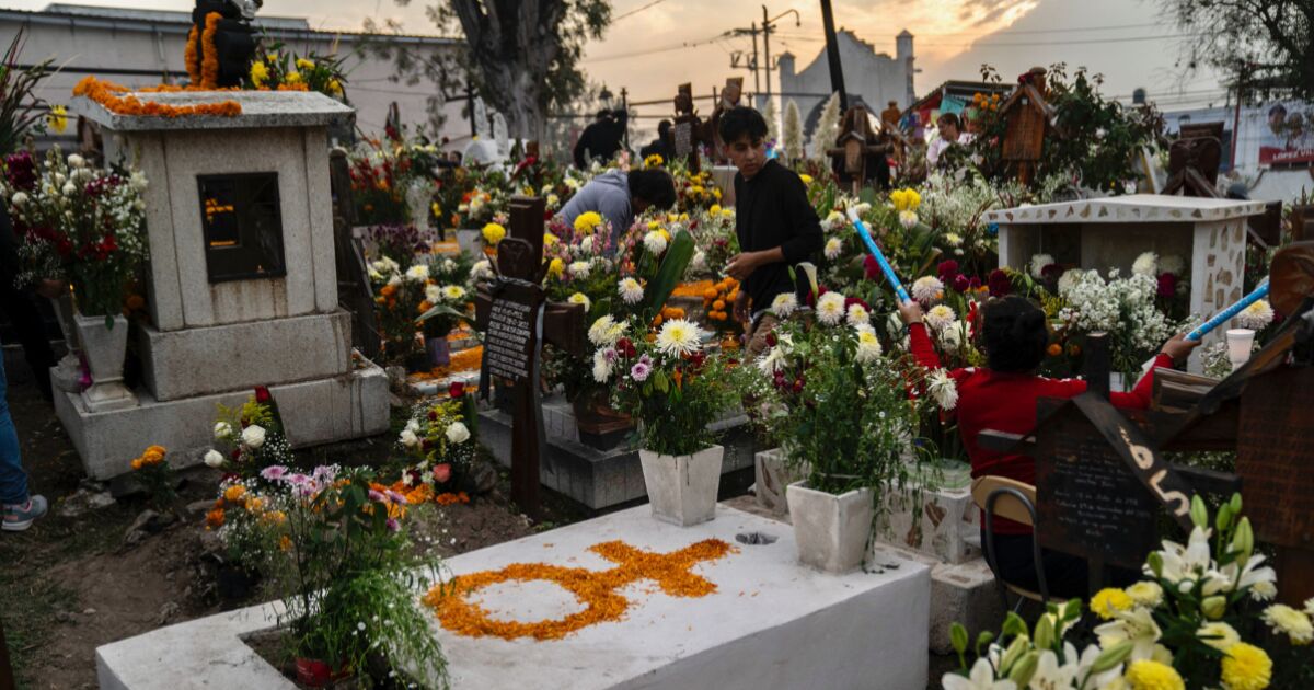 Long weekends in November 2025: when are there official rest days in the month?