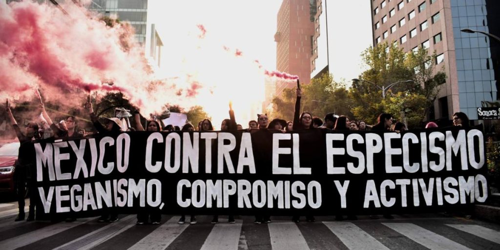 March against speciesism will walk through the streets of Mexico City