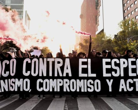 March against speciesism will walk through the streets of Mexico City