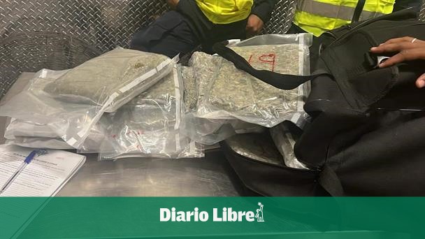 Marijuana seizure at Punta Cana airport