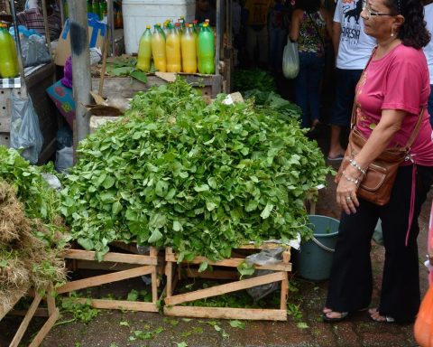Mercado do Povo will bring modular markets to small cities