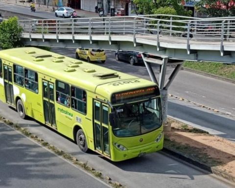 Metrolínea stations in Bucaramanga, in total abandonment due to vandalism and thefts
