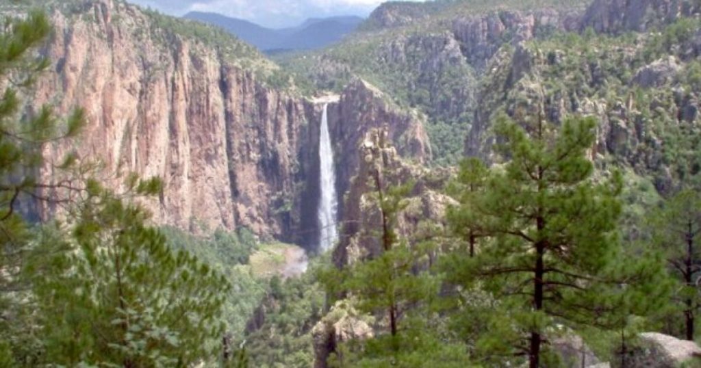 Mexico will 'fight' the climate crisis with the lowest budget in 20 years