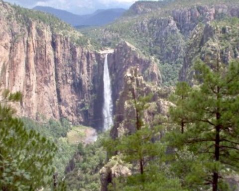 Mexico will 'fight' the climate crisis with the lowest budget in 20 years