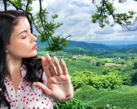 Myth or reality? If you do this in the Coffee Region it could cause you bad economic luck