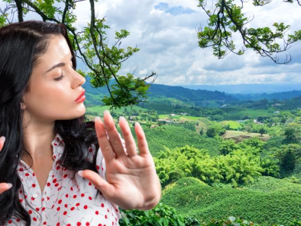 Myth or reality? If you do this in the Coffee Region it could cause you bad economic luck