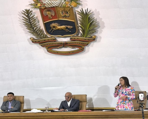 National Council for Sovereignty and Peace presents first balance sheet before the AN