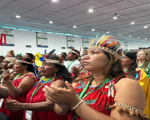 Pueblos originarios y Gobierno Nacional trabajan en la protección de la Madre Tierra