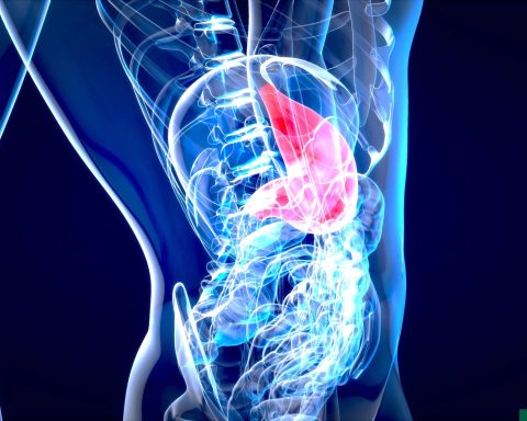 New hydrogel prevents complications after abdominal surgeries