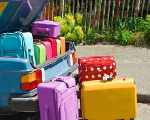 November 2025: long weekends and days of rest