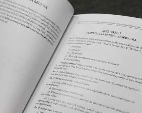 Number of speakers of indigenous languages ​​increases by almost 50% in 12 years