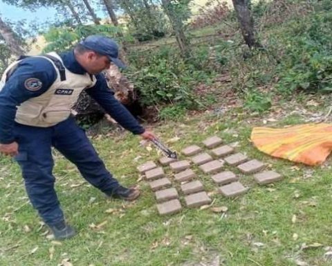 PNB located 20 panels of marijuana in Apure