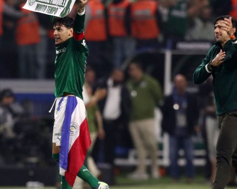 Palmeiras defeats LDU and faces Flamengo in the Libertadores final