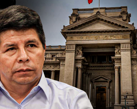 Pedro Castillo announces his support for the presidential pre-candidacy of Together for Peru during oral trial