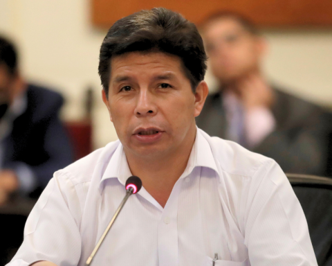 Pedro Castillo loses his papers before the subcommittee that evaluates his disqualification