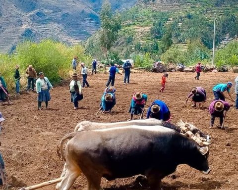Presence of rain benefits agricultural production in Cusco