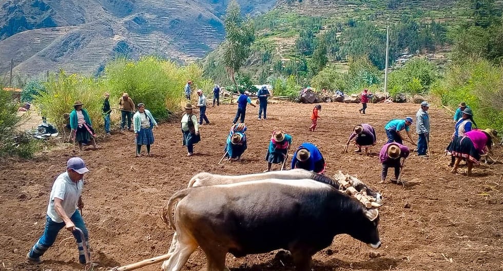 Presence of rain benefits agricultural production in Cusco