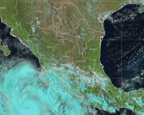 Priscilla becomes hurricane category 1; Jalisco and Baja California Sur approaches