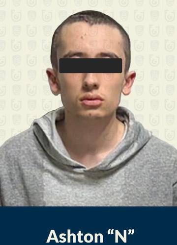 Private experts carried out a psychiatric study on Lex Ashton