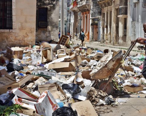 Public Health recognizes three deaths from dengue in 2025, an active disease in 12 provinces