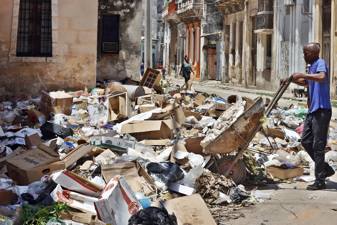 Public Health recognizes three deaths from dengue in 2025, an active disease in 12 provinces