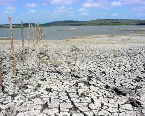 Rains relieve drought in Cuba, but the east of the country remains in a critical situation