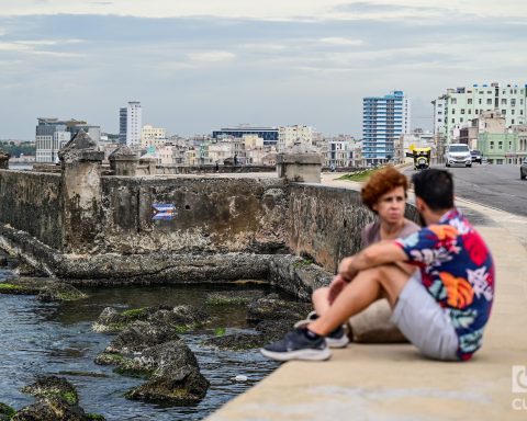 Reading the Government Program: the whole and the sum of the parts