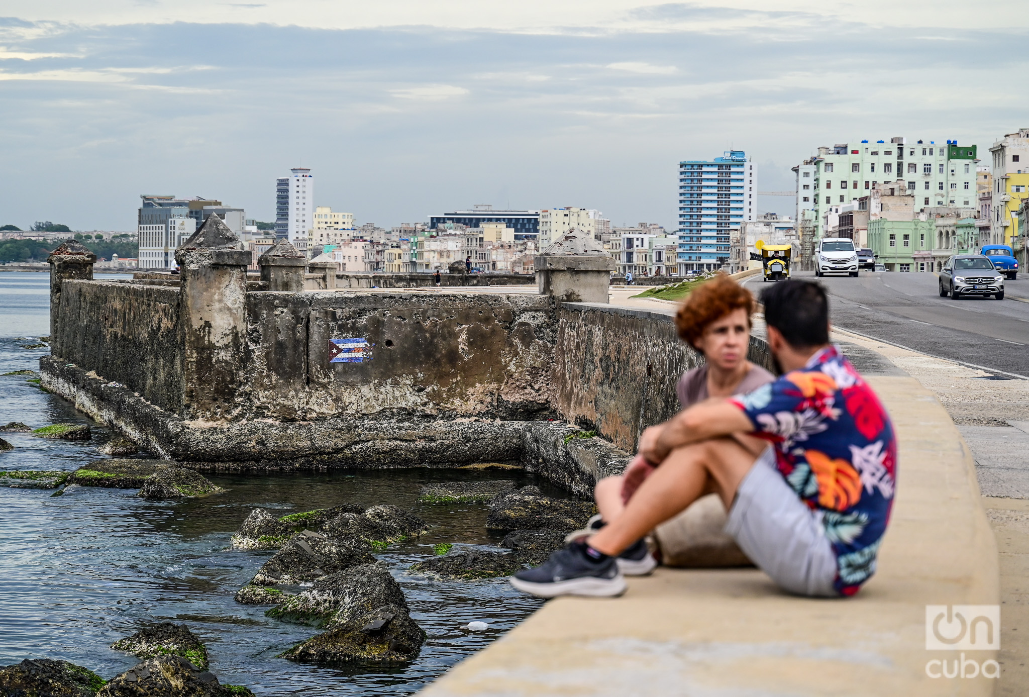 Reading the Government Program: the whole and the sum of the parts