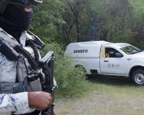 Religious violence: 53 priests killed since the 'war' against the narco