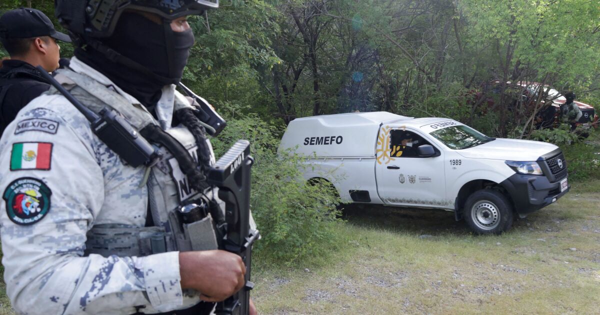 Religious violence: 53 priests killed since the 'war' against the narco