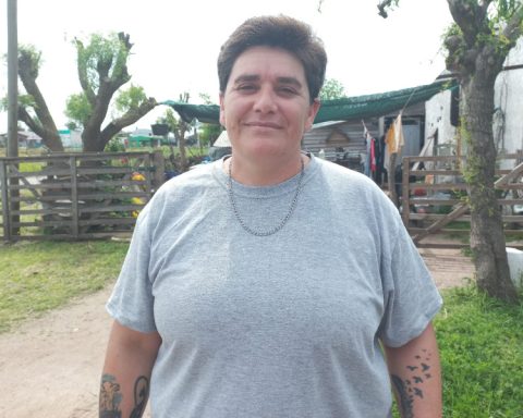 Rosana Jaime in Animal Welfare: “reactivate castrations and address complaints from the department”