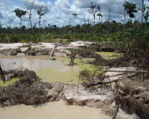 SOS Orinoco warns of illegal mining boom in Bolívar and 40 deaths in 2025