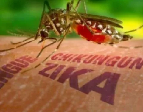 Alerta sanitaria, Cuba