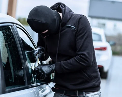 Santo Domingo and Santiago lead the provinces with the highest risk for vehicle owners