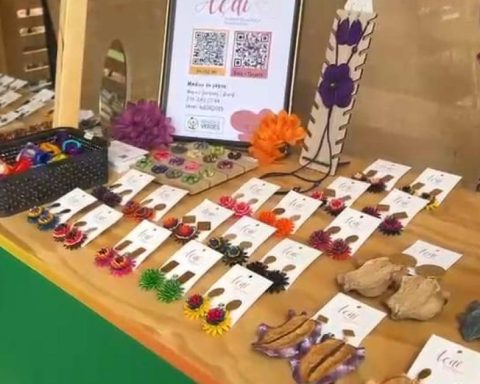 Seeds that become jewels of life during biodiversity week