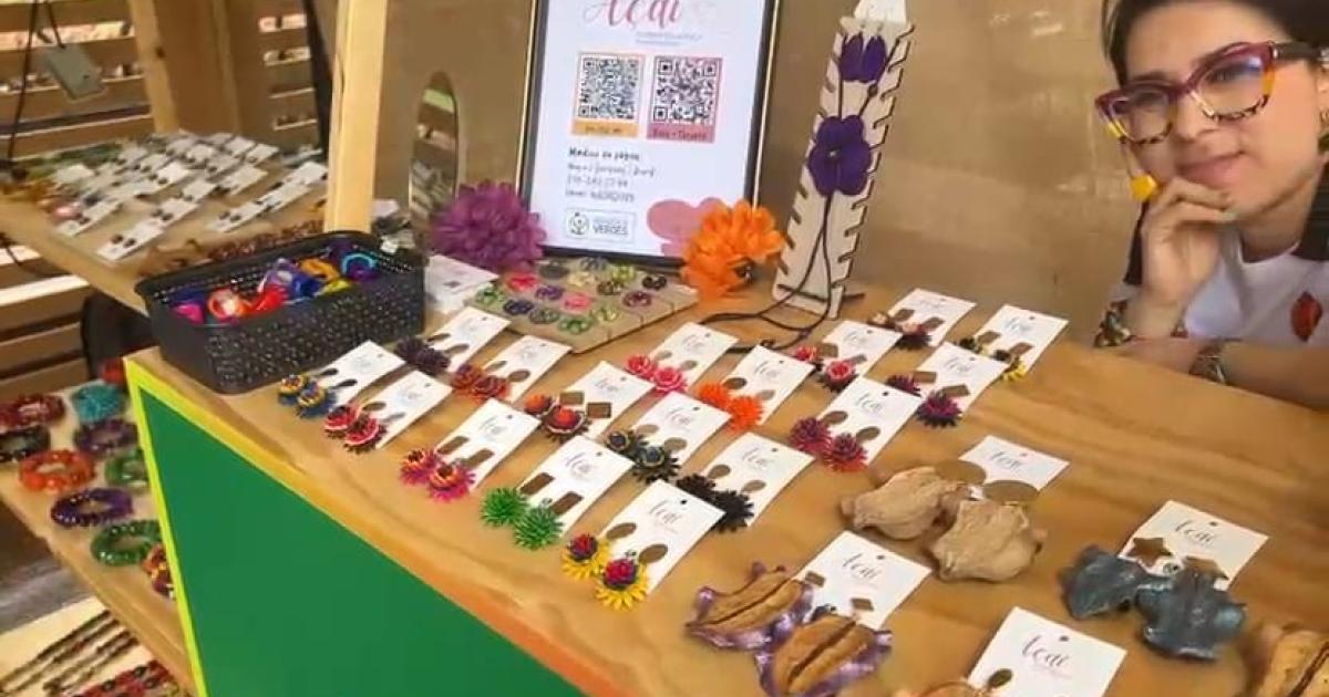 Seeds that become jewels of life during biodiversity week