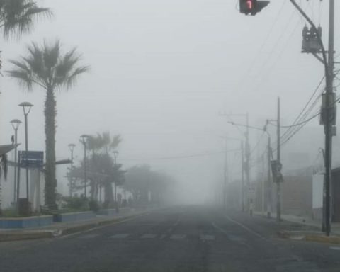 Senamhi issues a yellow alert for winds of up to 34 km/h on the northern and central coast of Peru