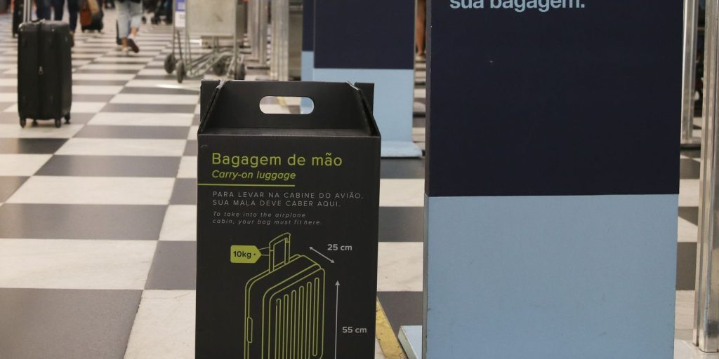 Senate approves free hand luggage on flights