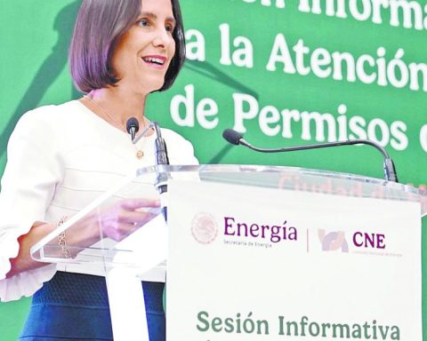 Sener sets route for IP investment in electricity