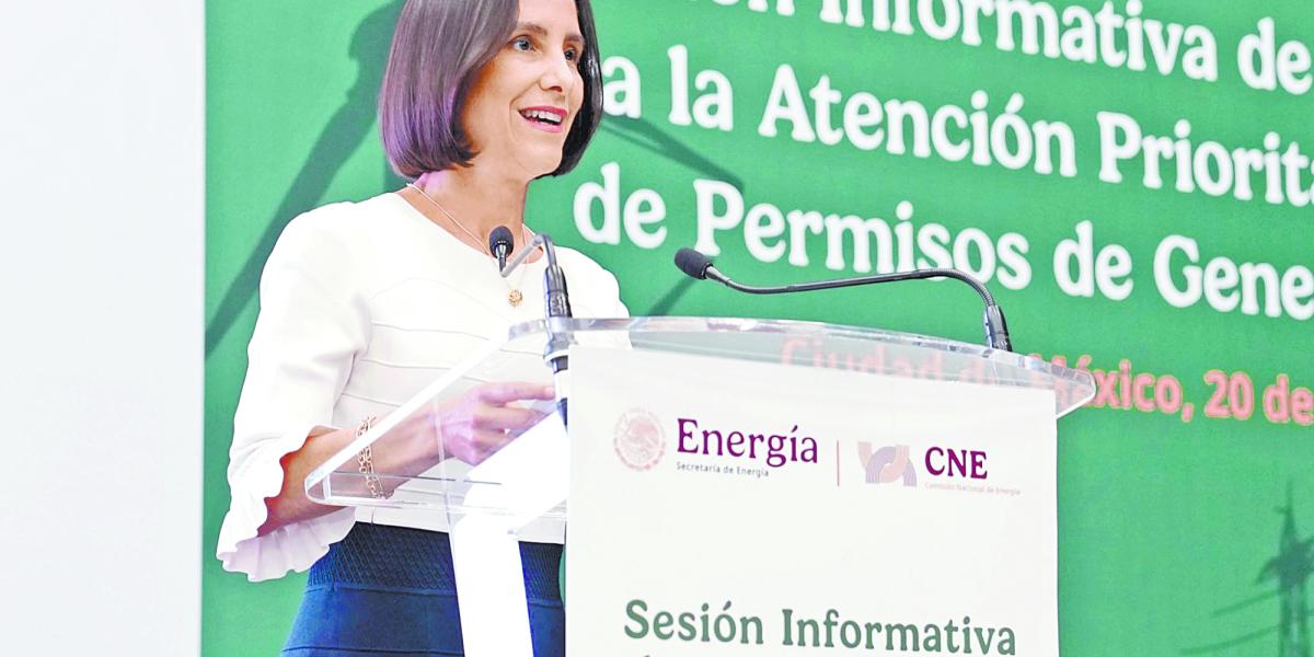 Sener sets route for IP investment in electricity