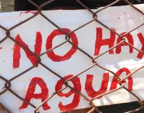 Cuba, protestas, Observatorio Cubano de Conflictos