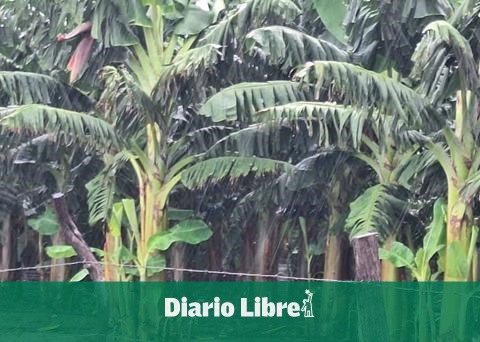 Storm Melissa leaves little damage in the South, according to report