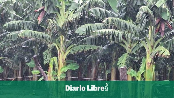 Storm Melissa leaves little damage in the South, according to report