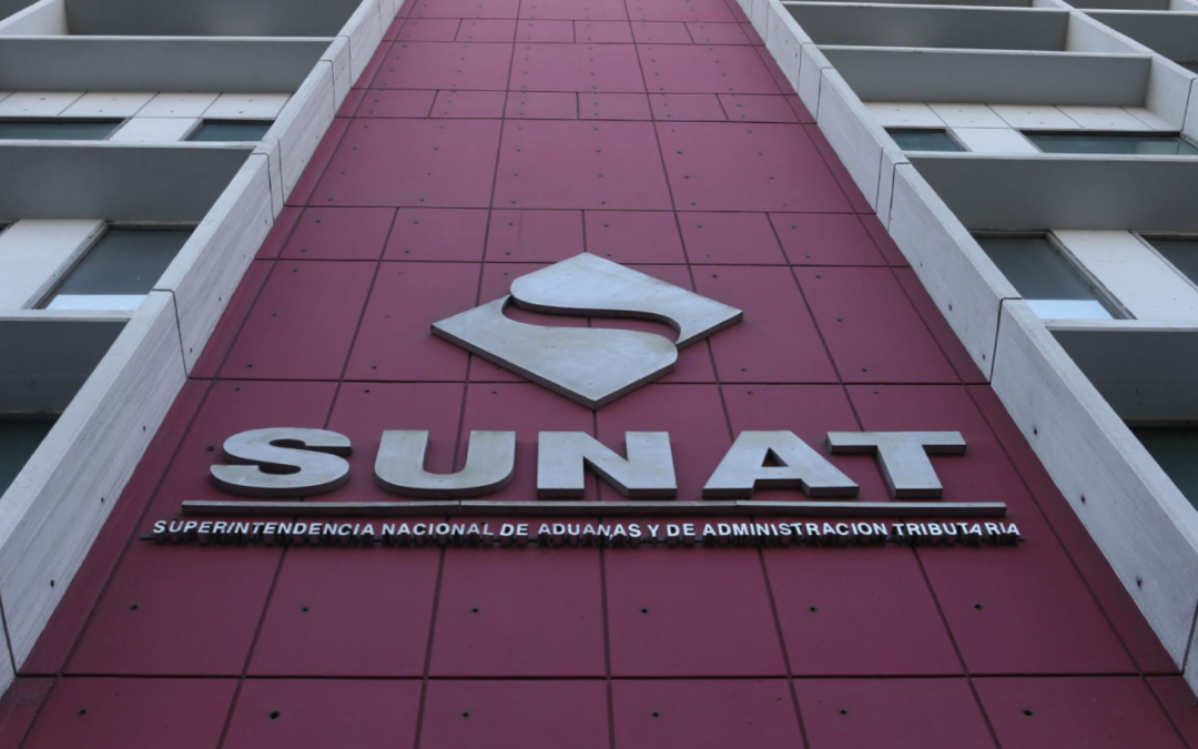 Sunat will be technical secretary of the inspection committee created within the framework of the state of emergency