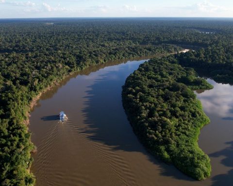 Sustainable extractivism in the Amazon is the theme of Caminhos da Reportagem