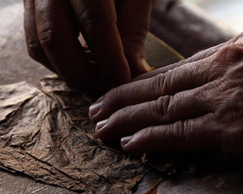 TABACUBA confirms the complaint of Prisoners Defenders about the use of prisoners to manufacture cigars