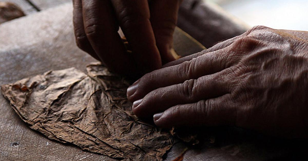 TABACUBA confirms the complaint of Prisoners Defenders about the use of prisoners to manufacture cigars