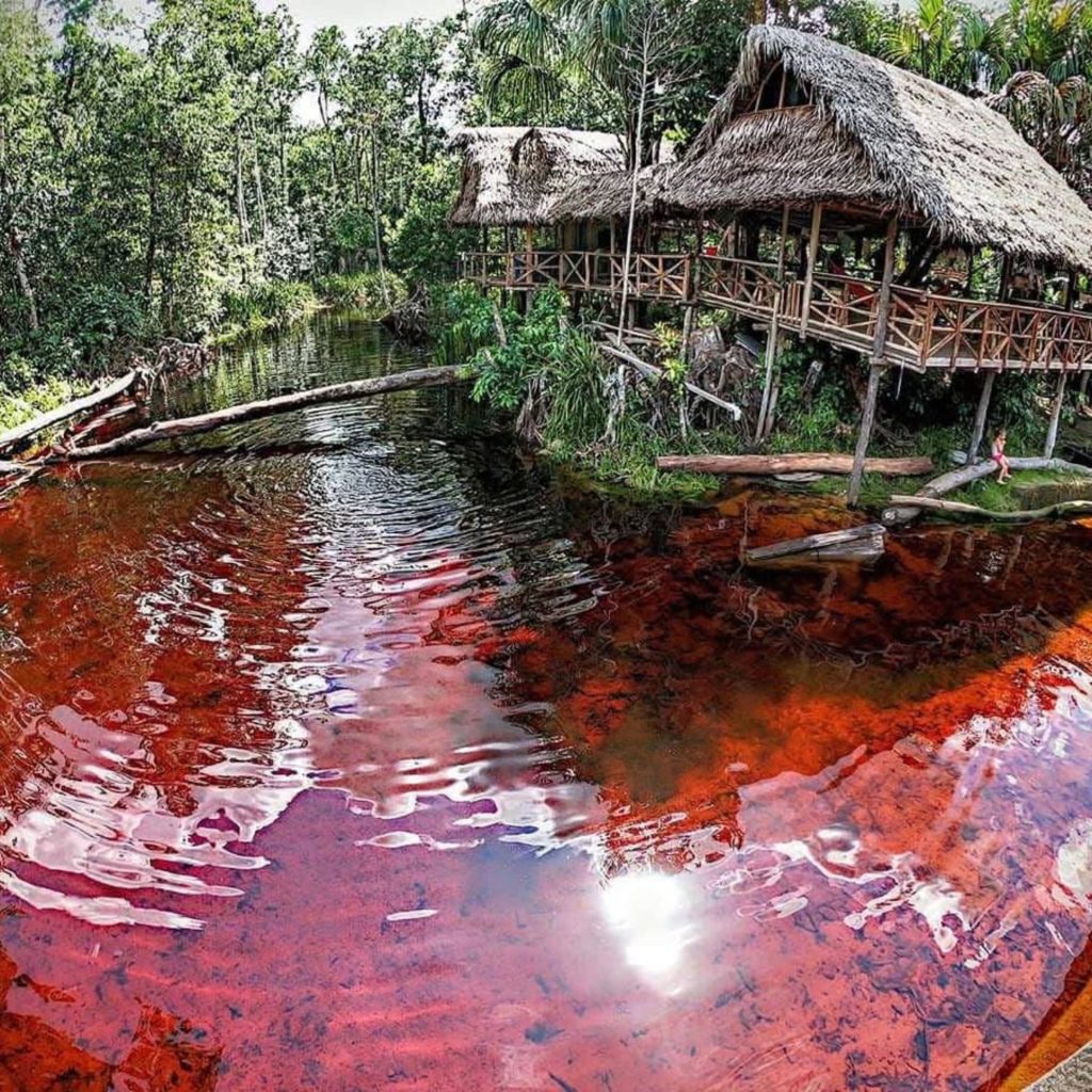 THE RIVER RIVER IN COLOMBIA