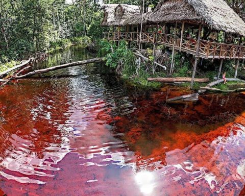 THE RIVER RIVER IN COLOMBIA