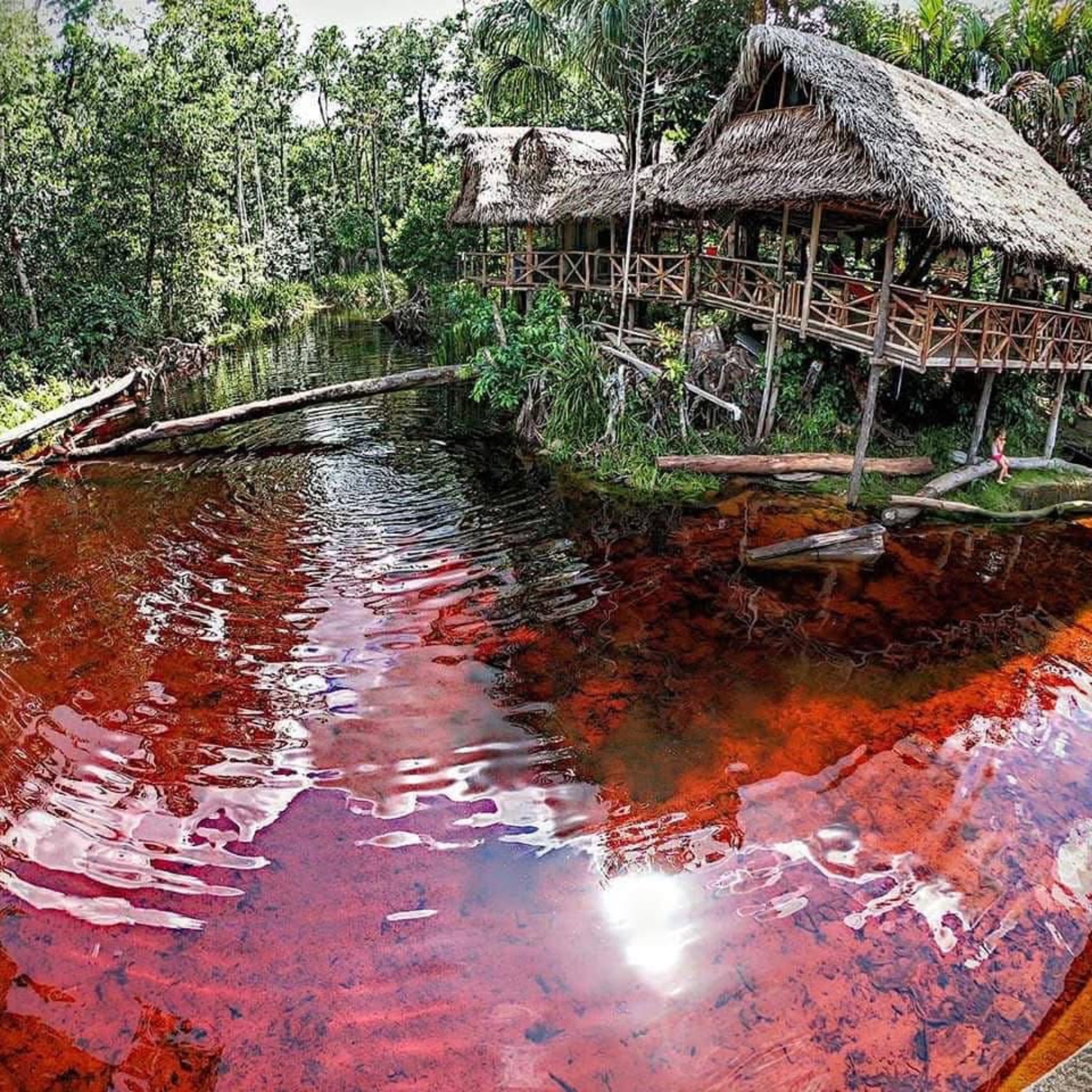 THE RIVER RIVER IN COLOMBIA